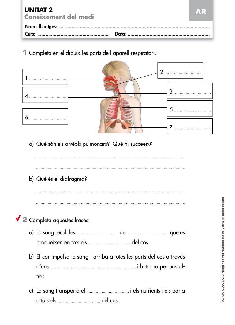 coneixement del medi 4 primaria santillana